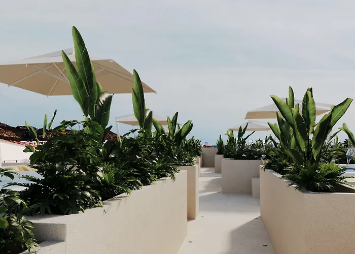 Patricia Aparthotel Faliraki